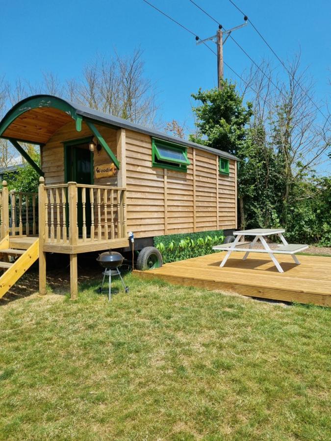 Woodie The Shepherds Hut - Sleeps 4 Чичестер Экстерьер фото