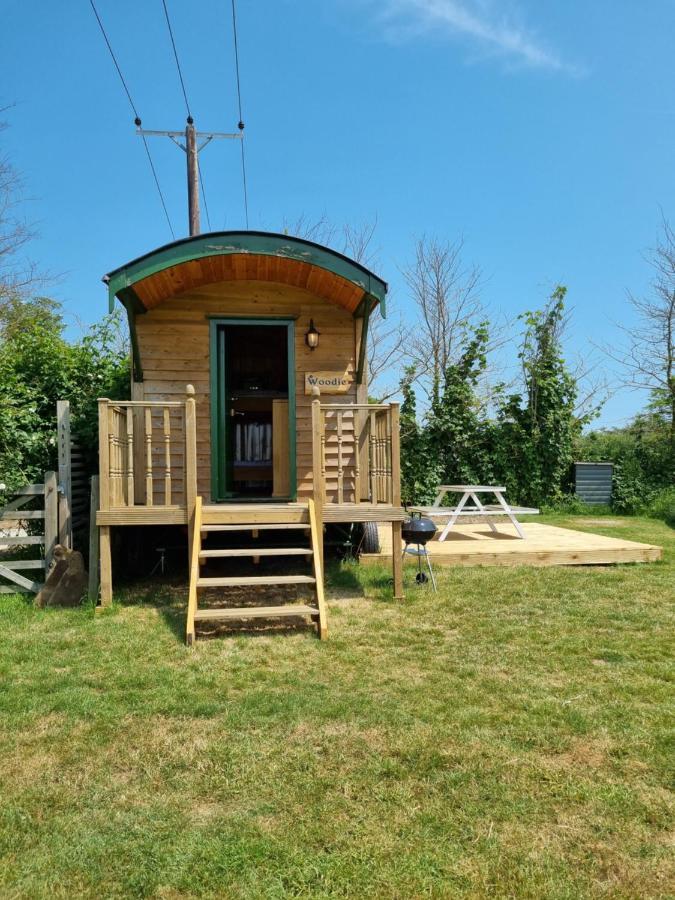 Woodie The Shepherds Hut - Sleeps 4 Чичестер Экстерьер фото
